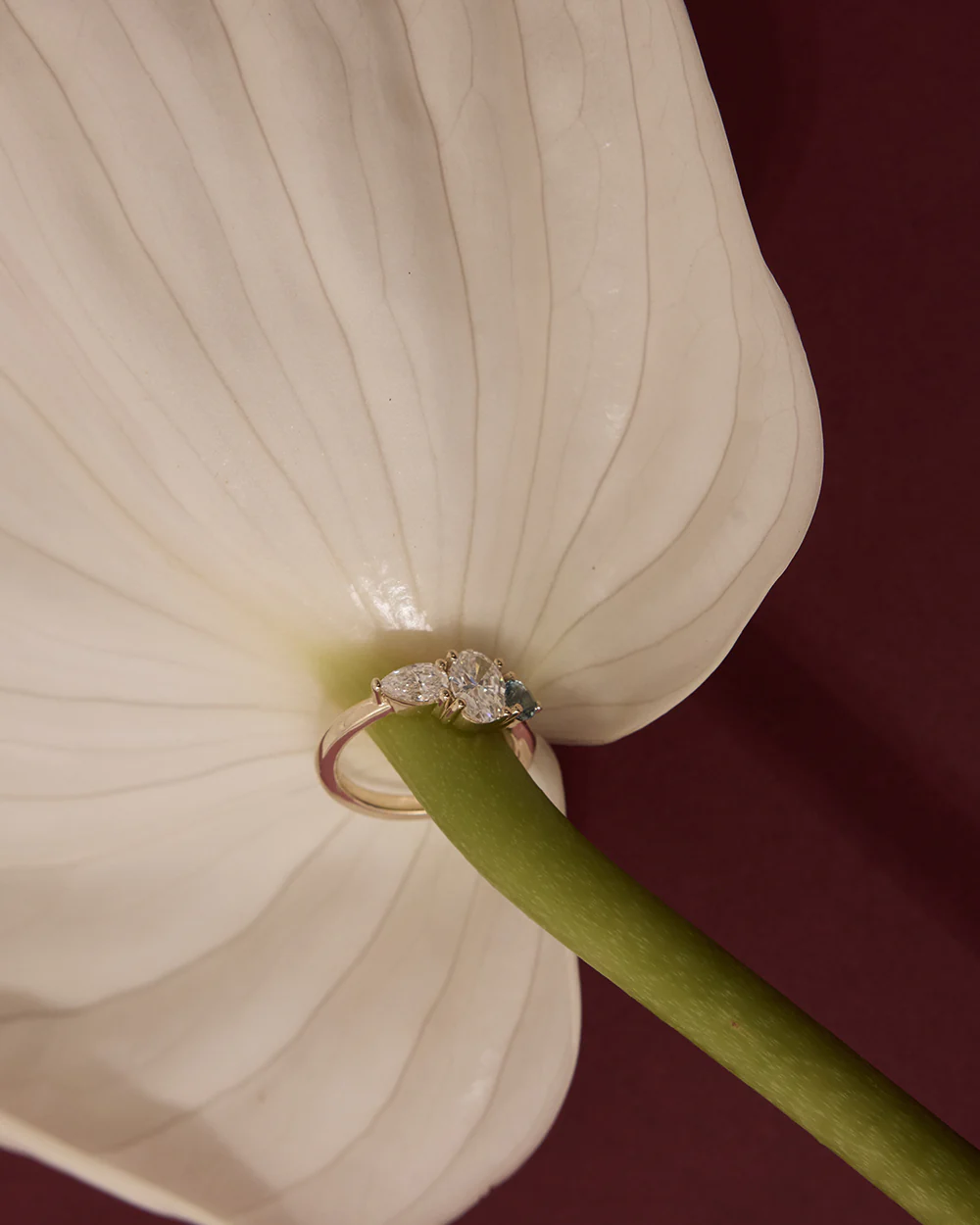 Iris Pinky Ring - Image 3