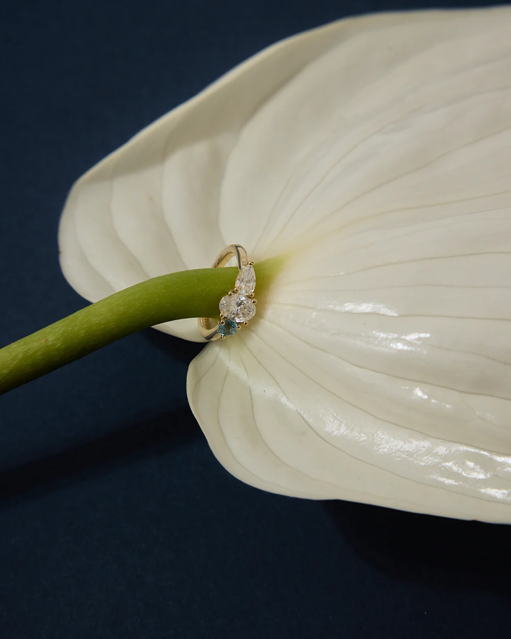 Iris Pinky Ring - Image 7